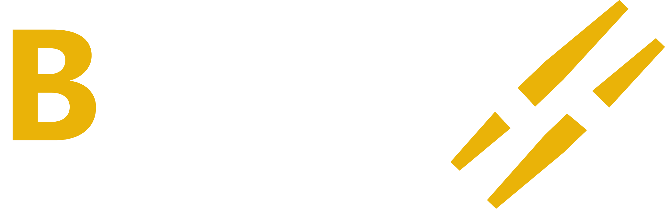 buyerx buyerx